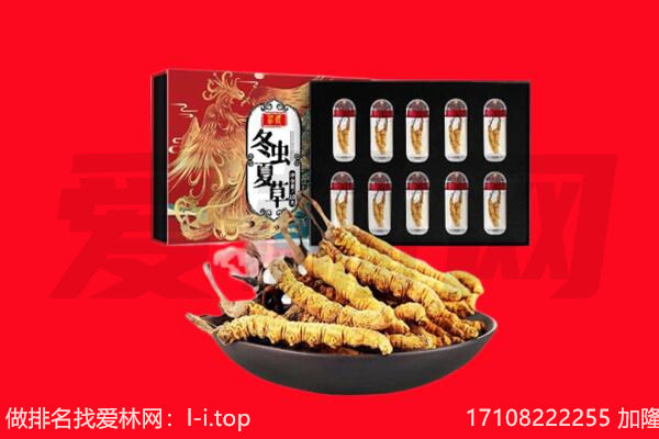 昆明回收虫草.jpg